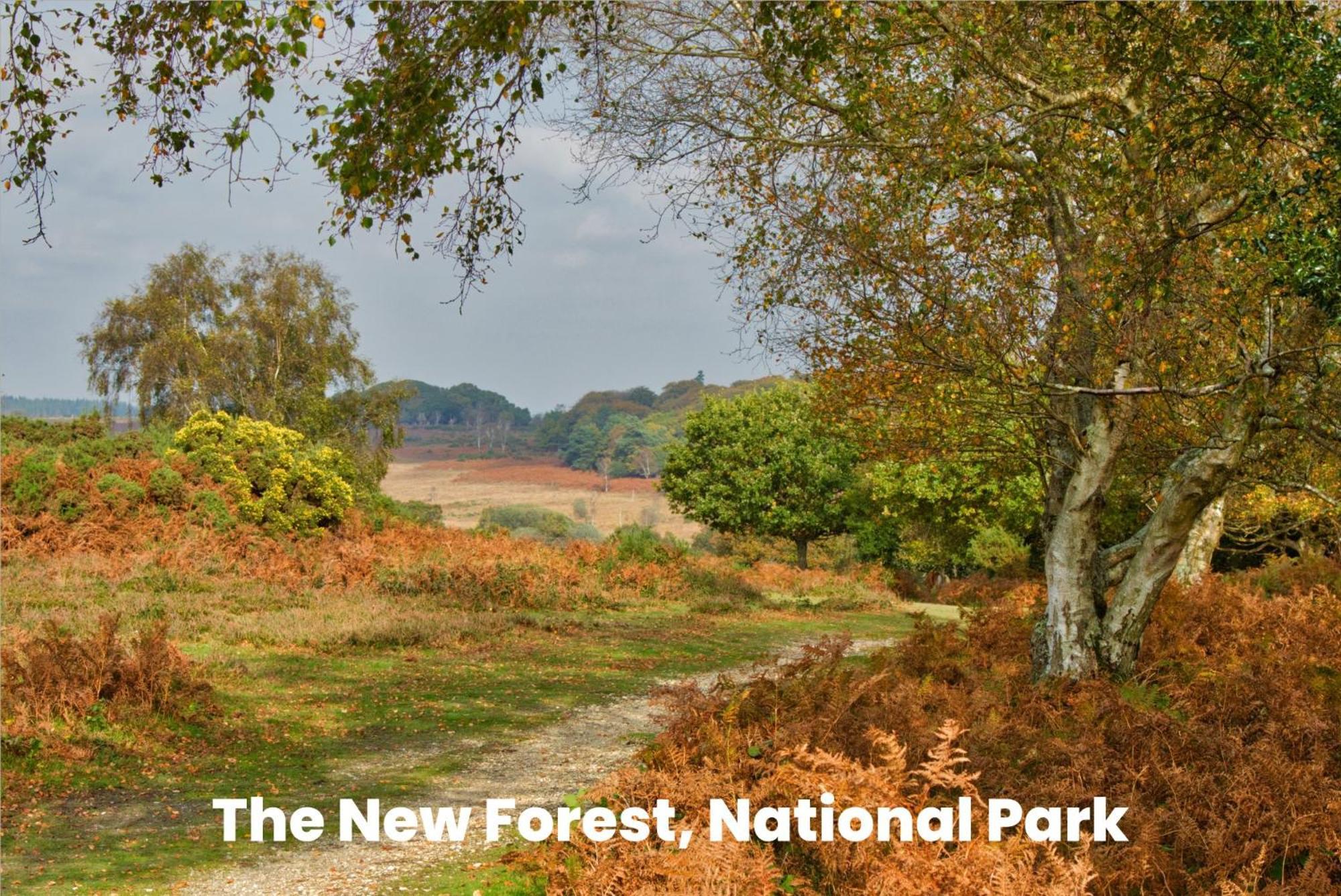 Cosy Retreat Near New Forest Ellingham  Luaran gambar