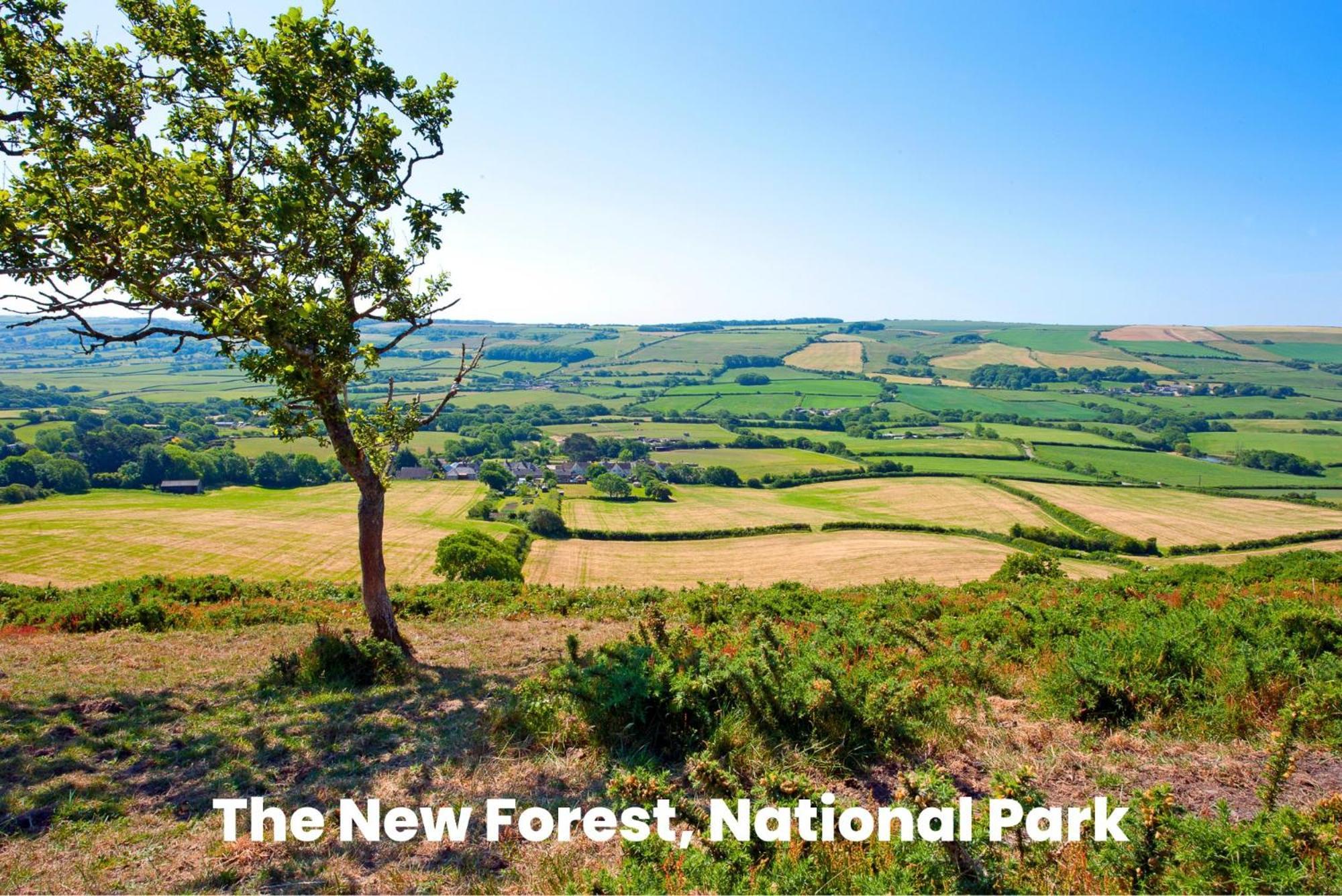 Cosy Retreat Near New Forest Ellingham  Luaran gambar